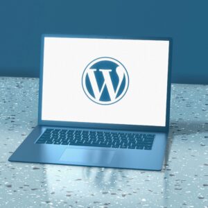 WordPress website CMS blog development